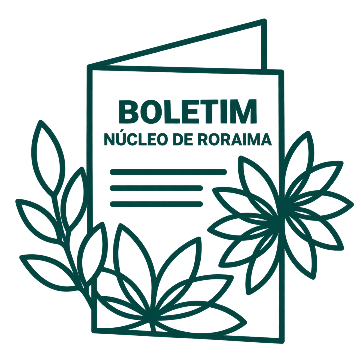 Boletim Informativo: Núcleo de Roraima